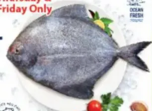 Black Pomfret