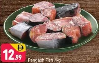 Pangash Fish
