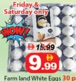 Farm land White Eggs