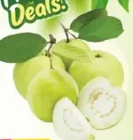 Guava Egypt