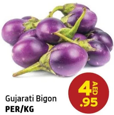 Gujarati Bigon