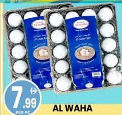 Al Waha Eggs