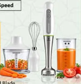 Kenwood Hand Blender HDP109WG, 700 Watts, 2 Speed
