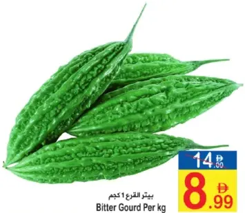 قرع مر