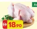 Fresh Whole Chicken
