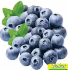 Blue Berry