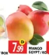 Mango Egypt