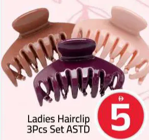 Ladies Hairclip Assorted