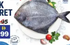 Black Pomfret