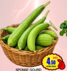 Sponge Gourd