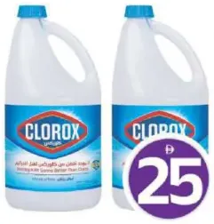 Clorox Regular Gallon