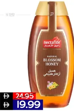 Nectaflor Honey Blosom Squzee Bottle
