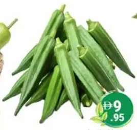 Lady Finger/Okra Oman