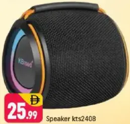 Speaker KTS2408