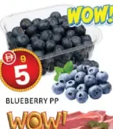 Blueberry
