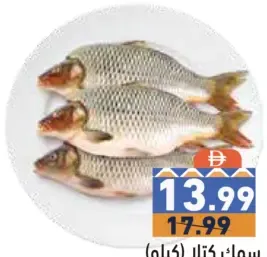 Katla Fish