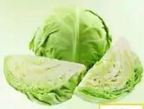 ملفوف