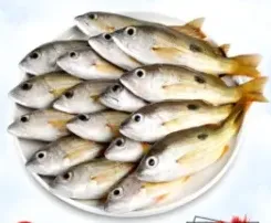 Naiser Fish