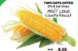 Sweet Corn