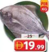 Black Pomfret Fresh