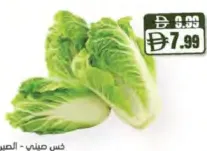 Chinese Cabbage