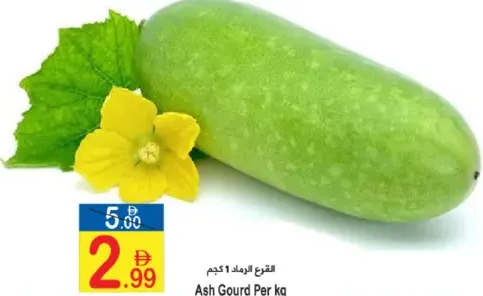 قرع أبيض