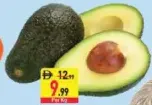 Avocado