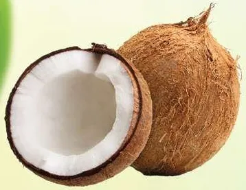 Coconut India