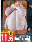 Fresh Chicken