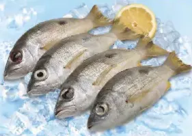 Fresh Naiser