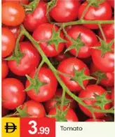 Tomato