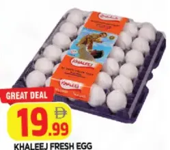 Khaleej Fresh Egg