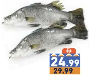 Frsh Barramundi