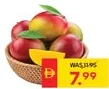Mango Naomi Egypt