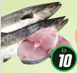 King Fish