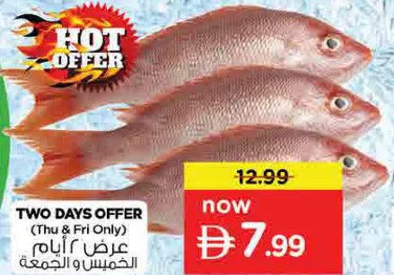 Red Snapper Whole