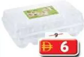 Jasmin Plastic Egg Tray Box