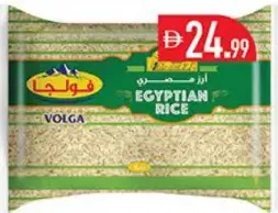 Volga أرز مصري فراعنة