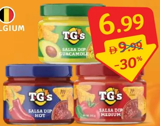 TG's Salsa Dip Assorted