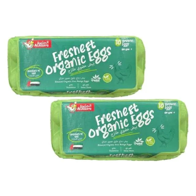 Al Jazira Organic Eggs Free Range, Brown