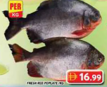Fresh Pomfret Red