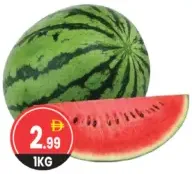 Water Melon Round