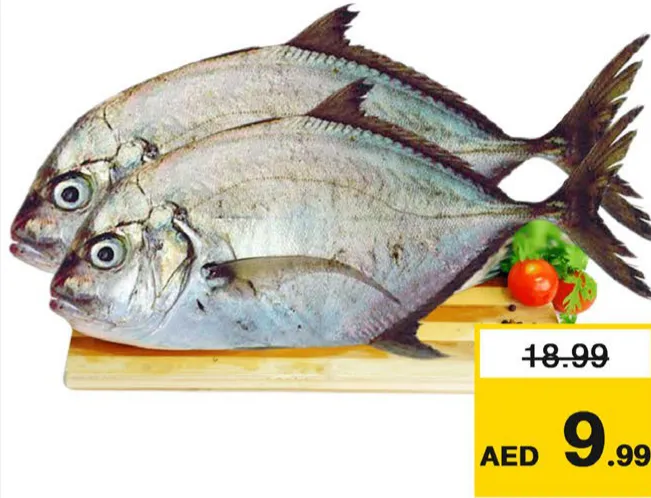 سمك بارا طازج