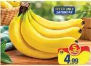 Banana Ecuador