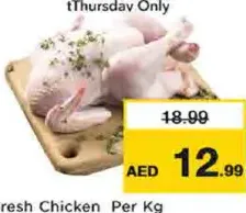 دجاج طازج
