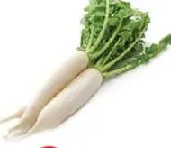 Radish White