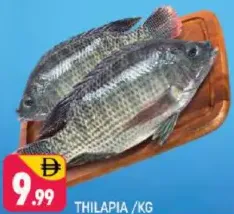 Thilapia