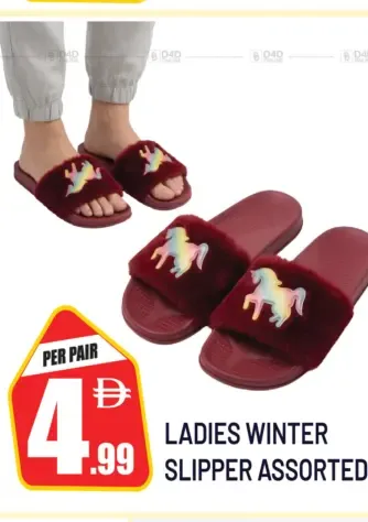 Ladies Winter Slipper Assorted