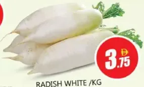 Radish White