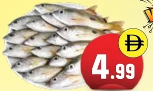 سمكة نايسر